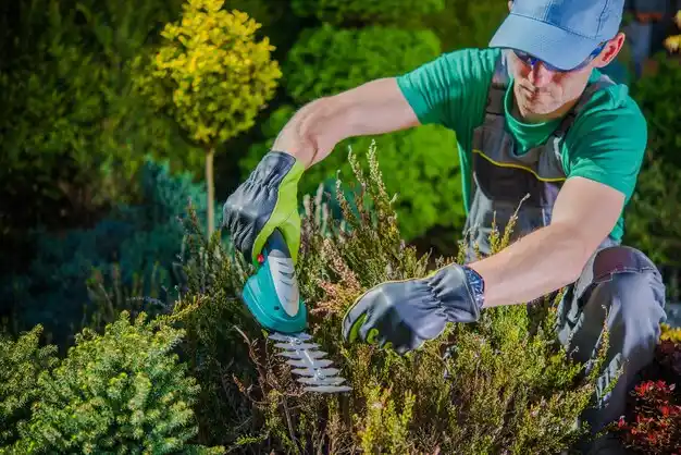 landscaping services Ilion